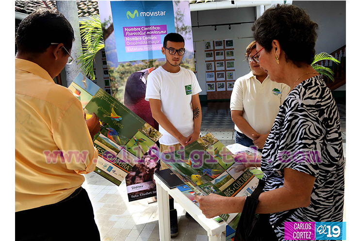 Granada sede del II Festival Internacional de Aves