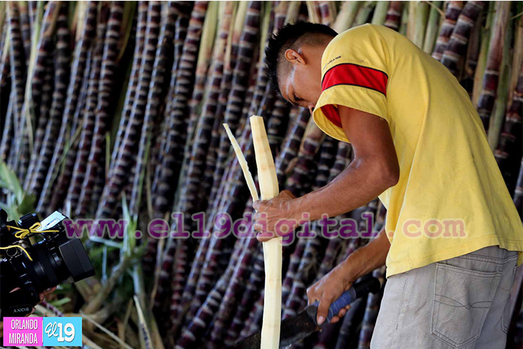 Mercados listos para ofertar el brindis de la Purísima
