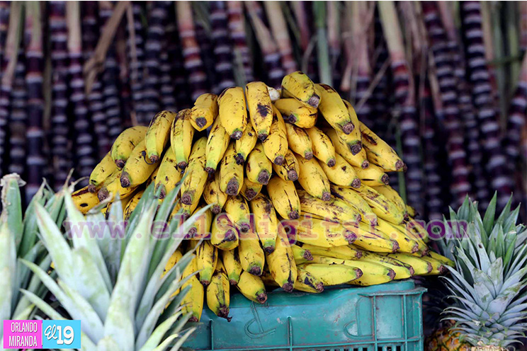 Mercados listos para ofertar el brindis de la Purísima