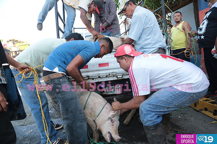 Gobierno Sandinista restituye derechos de familias de Tipitapa con entrega del Bono Productivo Alimentario