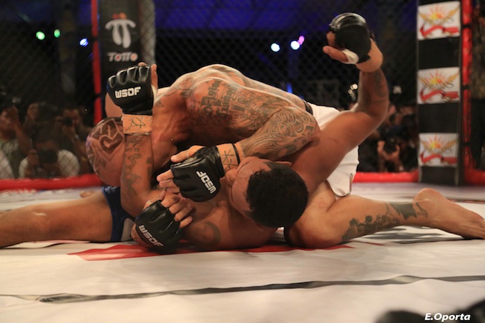 Mayorga VS. Level