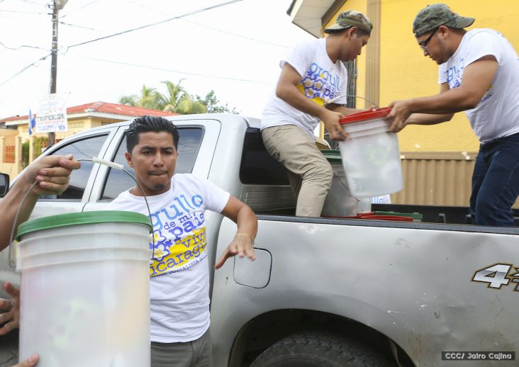 Entregan primera respuesta a familias tras sismo cerca de Cerro El Hoyo
