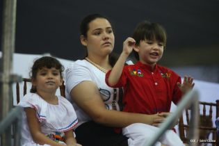 Desfile Patrio 2013