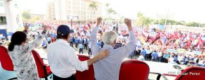 Miles claman por la Paz y la No Violencia