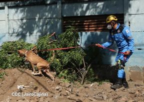 IV Ejercicio Nacional de Preparación para Proteger la Vida ante Situaciones Multiamenazas del año 2025