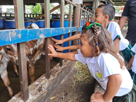 ¡Más y Más Victorias! Estudiantes de Nicaragua inician ciclo escolar 2026