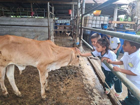 ¡Más y Más Victorias! Estudiantes de Nicaragua inician ciclo escolar 2026