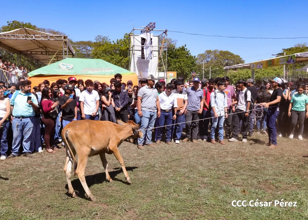 Universidades reciben a estudiantes de nuevo ingreso
