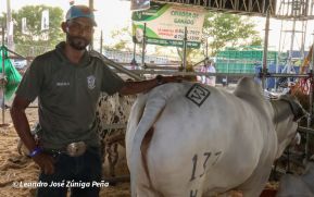 Feria Ganadera Agostina Internacional Managua 2026