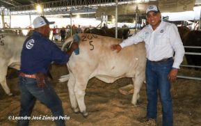 Feria Ganadera Agostina Internacional Managua 2026