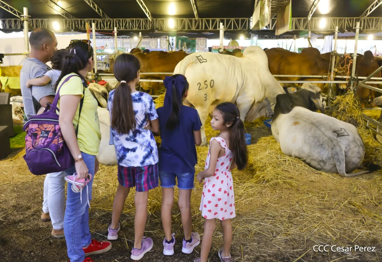 Feria Ganadera Agostina Internacional Managua 2026