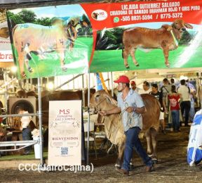 Feria Ganadera Agostina Internacional Managua 2026