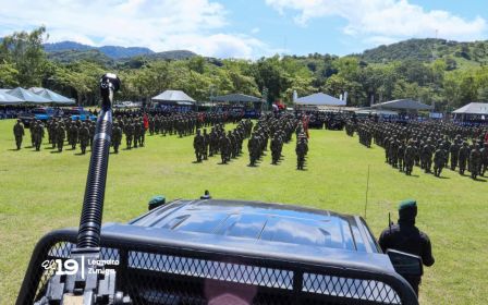 Plan de Protección y Seguridad de la Cosecha Cafetalera 2026-2027