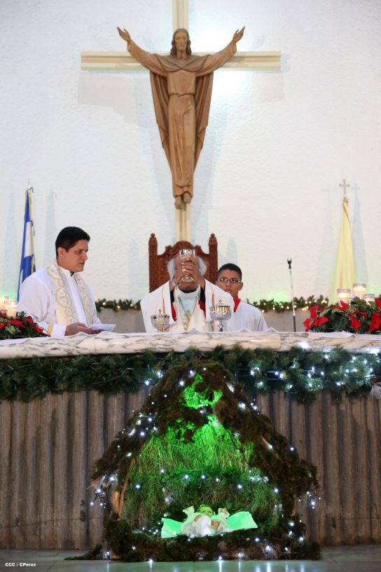 Cardenal Brenes oficia Misa en Día del Bautismo del Señor