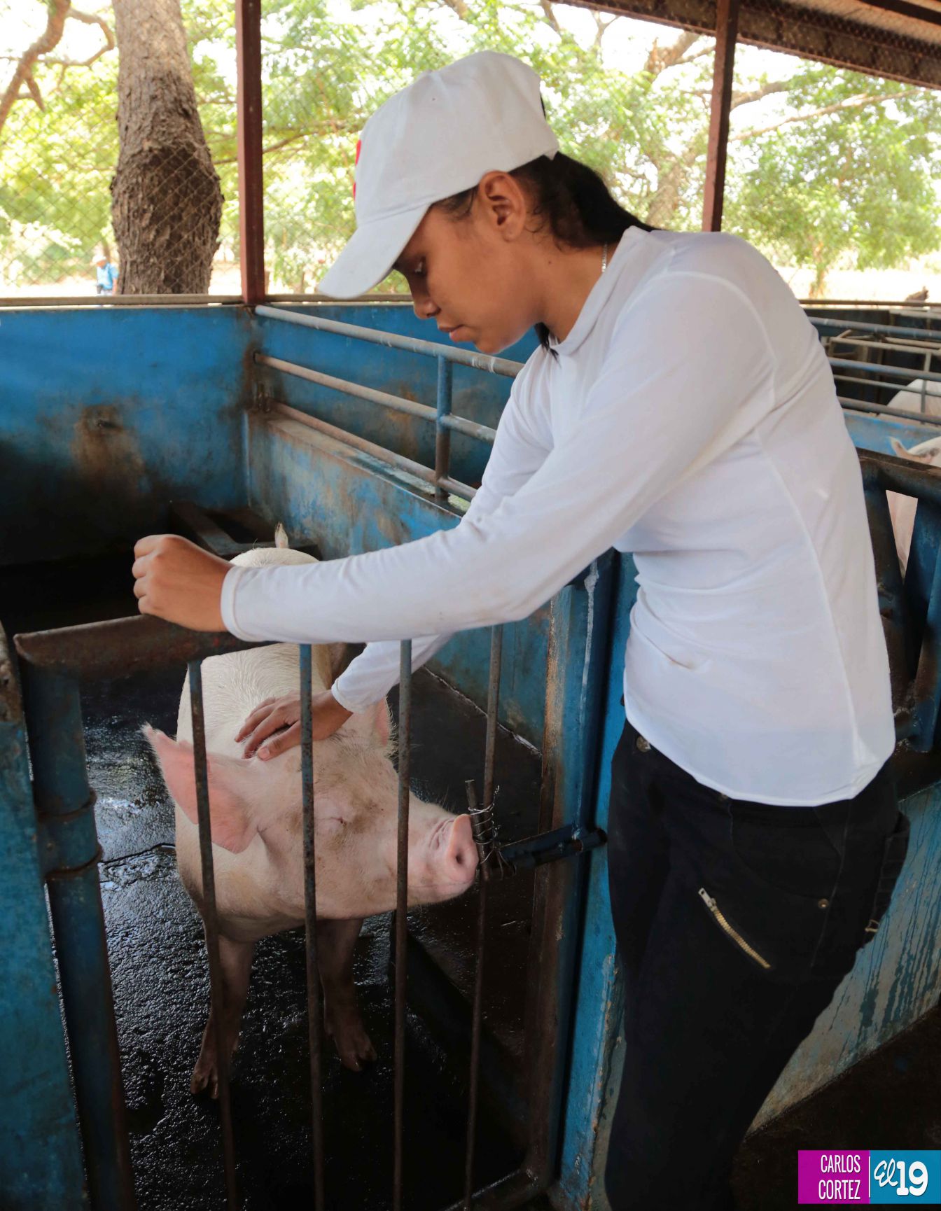 Tecnológico Agropecuario de Chinandega “Carlos Manuel Vanegas”