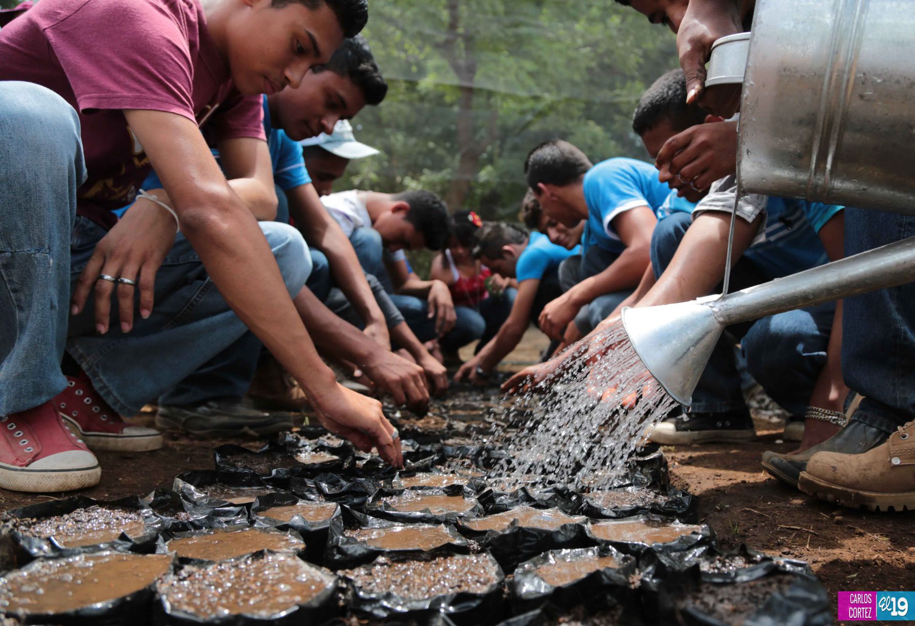 Tecnológico Agropecuario de Chinandega “Carlos Manuel Vanegas”