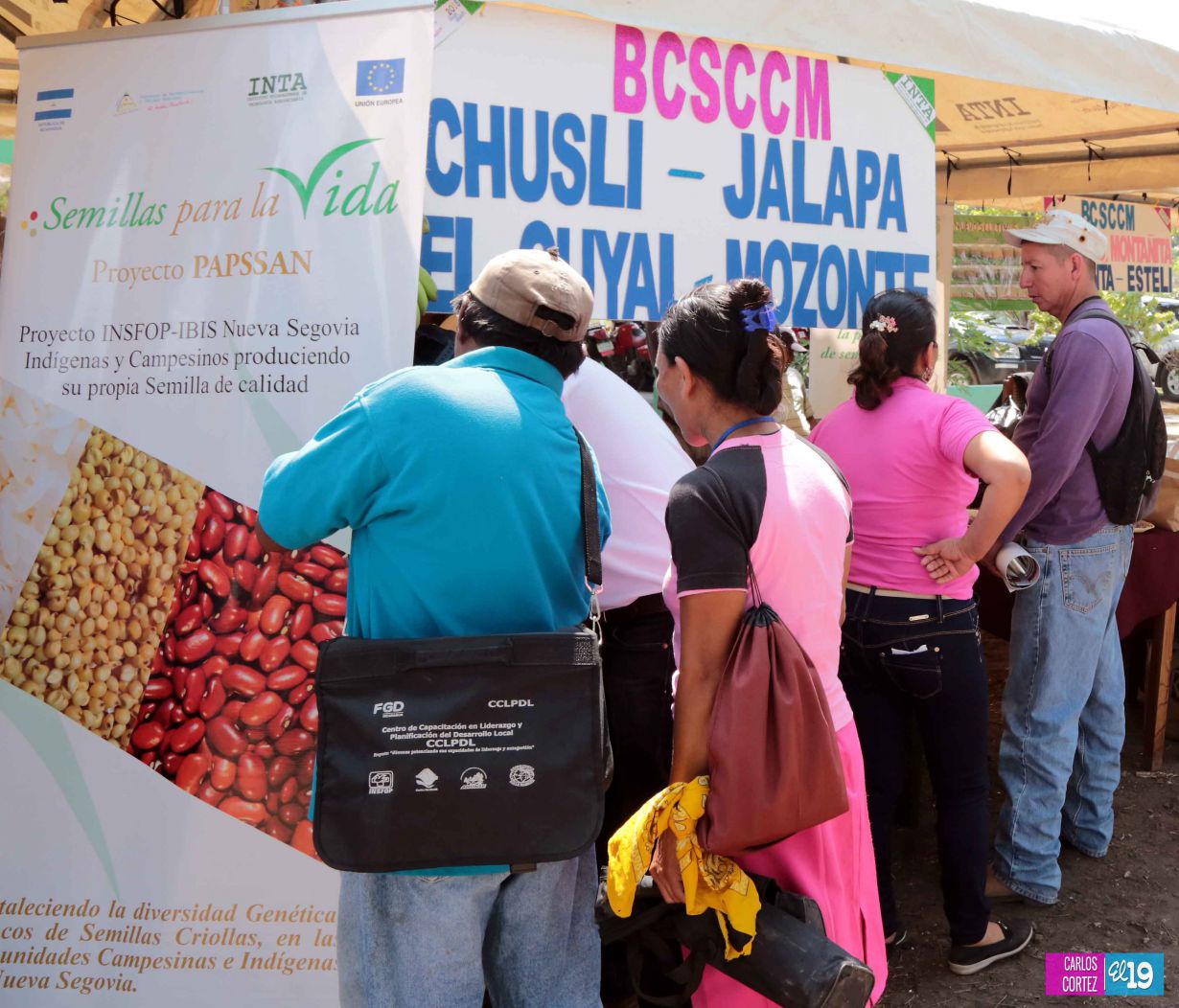 Inta y Fao desarrollan taller de capacidades para garantizar producción de semillas criollas y acriolladas