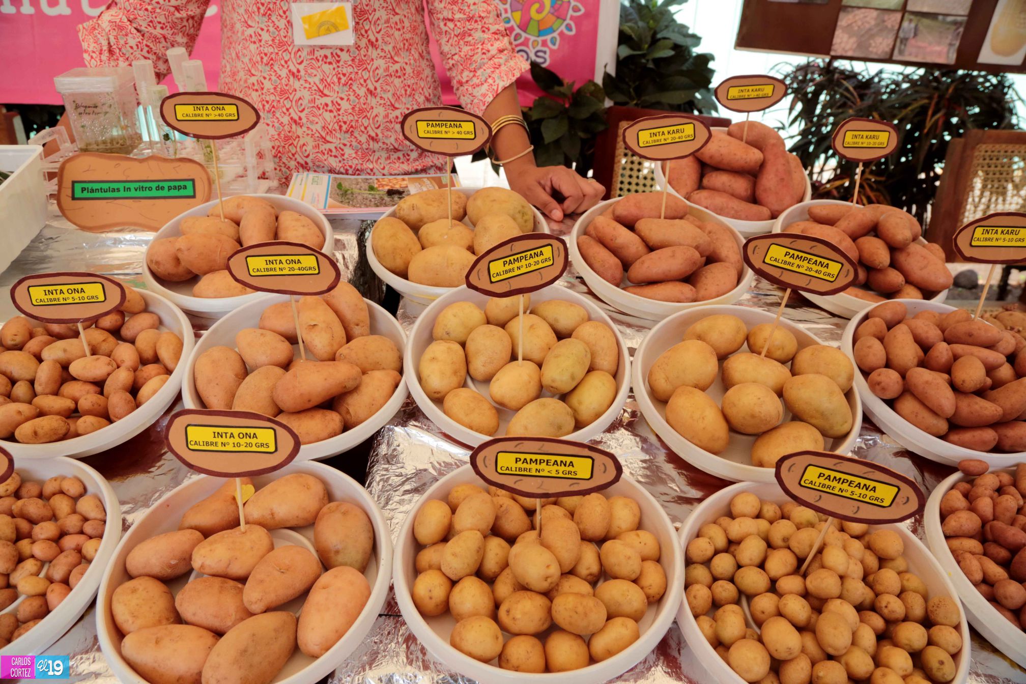 Inta y Fao desarrollan taller de capacidades para garantizar producción de semillas criollas y acriolladas