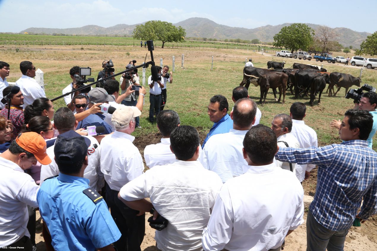 Presidente de Honduras conoce experiencia ganadera de Nicaragua