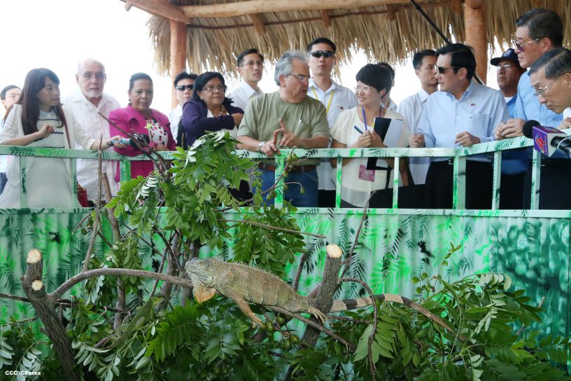 Presidente Ma Ying–jeou recorre el Parque Nacional de Ferias