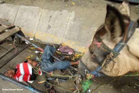 Fiestas de Santo Domingo concluyen con regreso de la milagrosa imagen a Las Sierritas