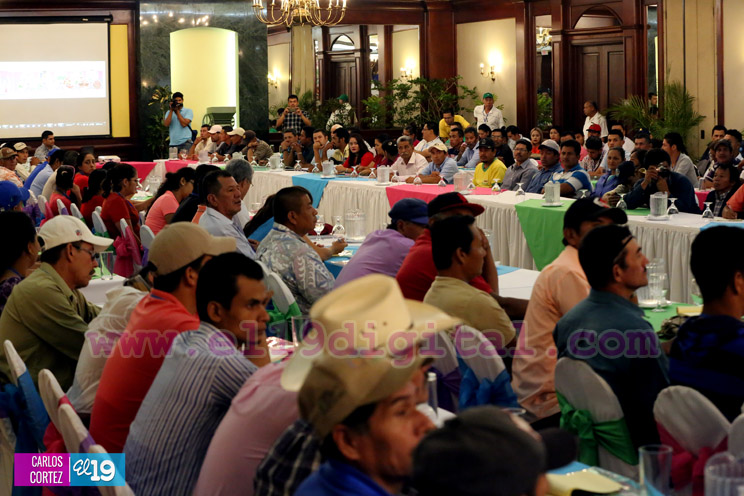 INTA realiza I Foro Internacional de Producción Sostenible de Café