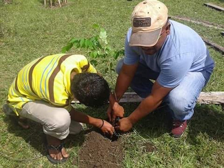 “Yo Adopto un Árbol”