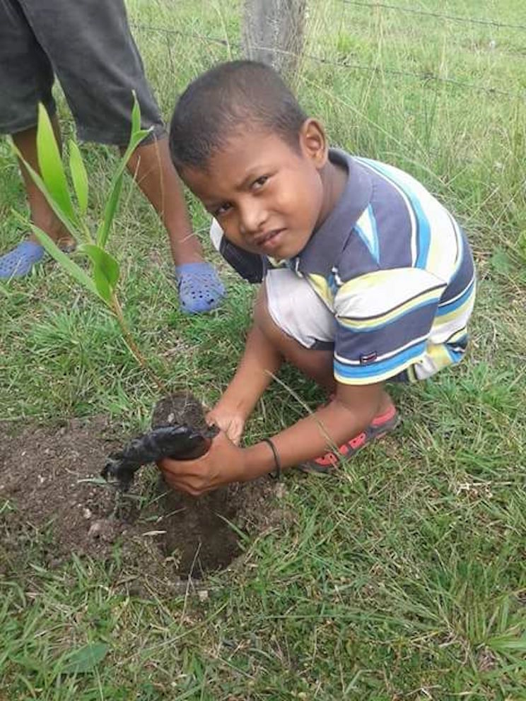 “Yo Adopto un Árbol”