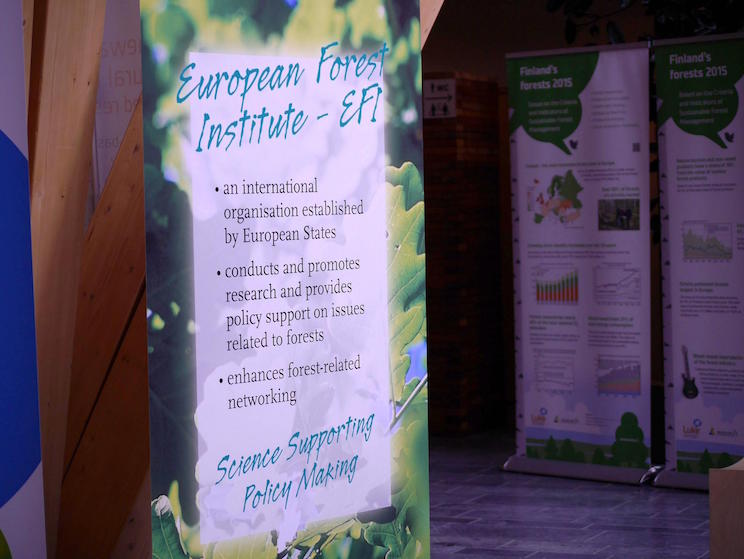 Instituto Forestal Europeo y embajada nicarag&uuml;ense en Finlandia exploran oportunidades de colaboraci&oacute;n cient&iacute;fica
