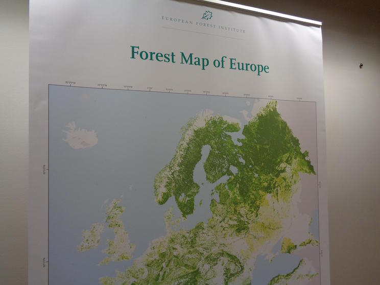 Instituto Forestal Europeo y embajada nicarag&uuml;ense en Finlandia exploran oportunidades de colaboraci&oacute;n cient&iacute;fica