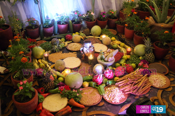 Medicina Tradicional, Natural y Terapias Complementarias