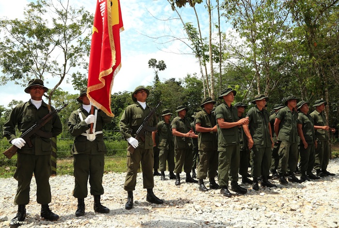 Batall&oacute;n Ecol&oacute;gico