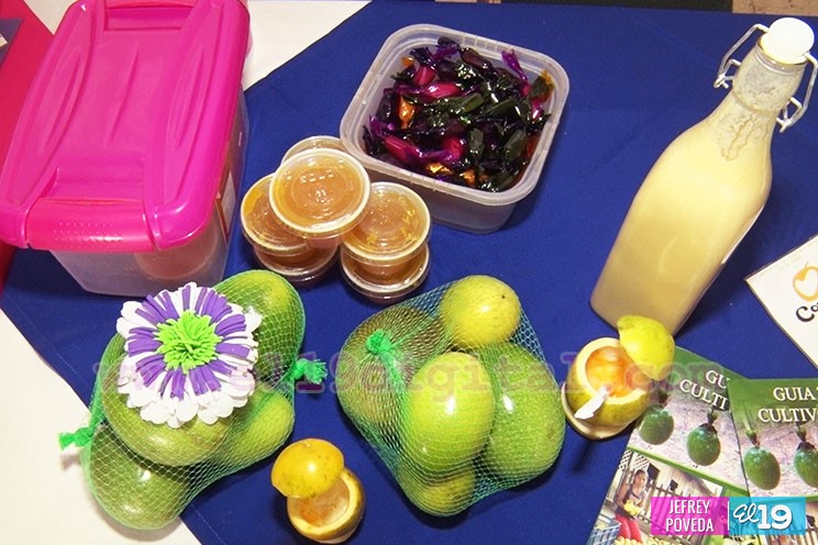 Productos de Maracuy&aacute; en Nicaragua