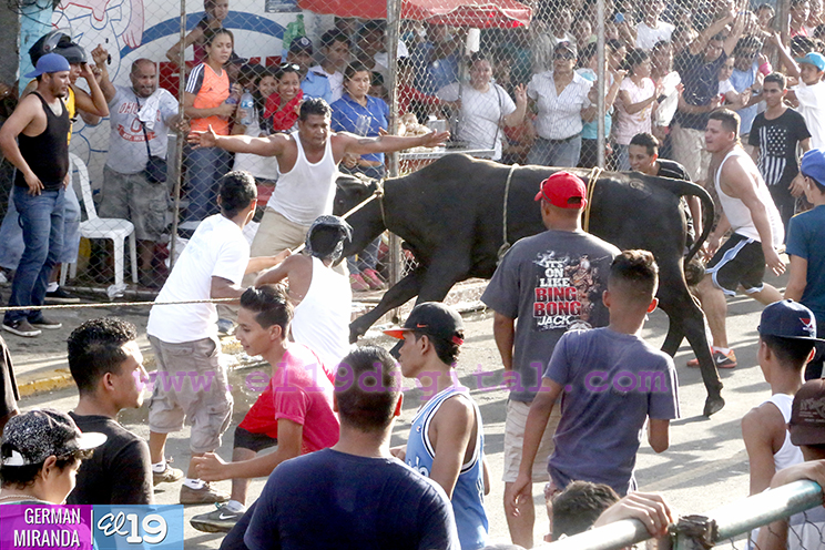 Vacas Culonas