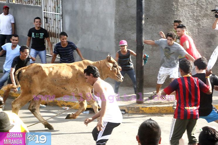 Vacas Culonas