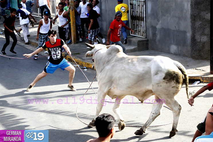 Vacas Culonas