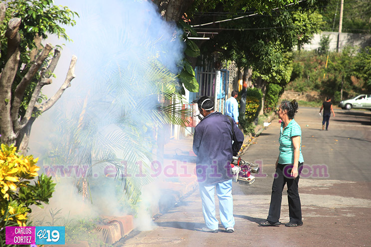 Minsa atiende mas de 300 viviendas de la Colonia Miguel Bonilla