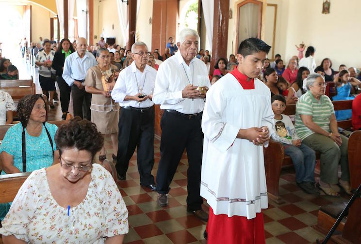 Cardenal