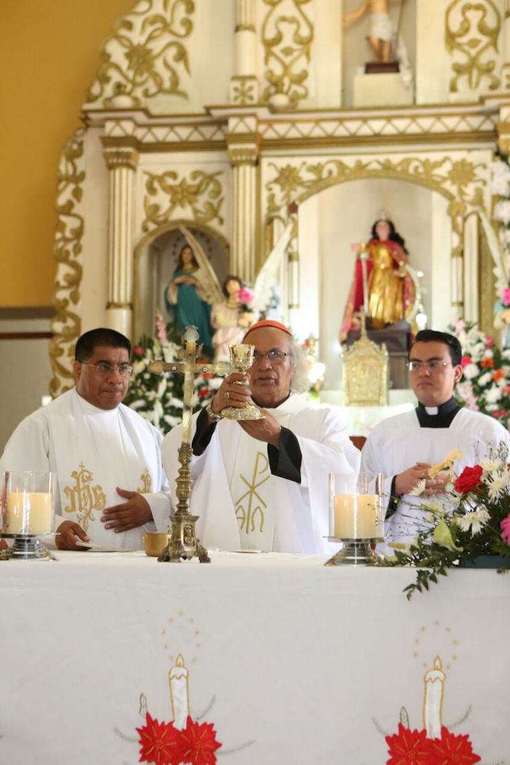 Cardenal