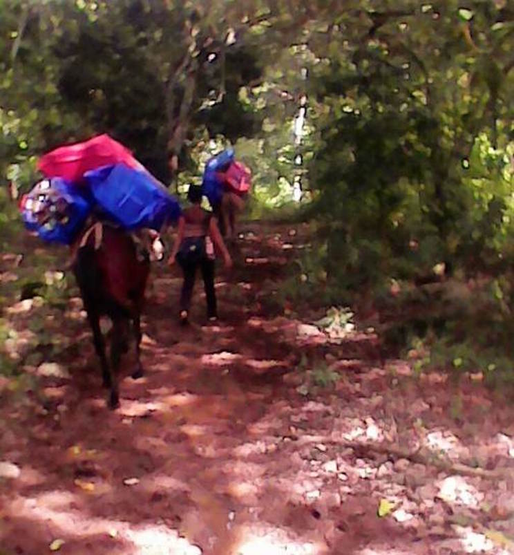 Juguetes