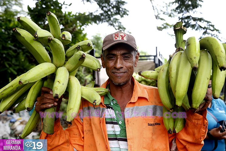 Buen invierno ayuda a disminuir costos de producci&oacute;n en fincas de Nagarote