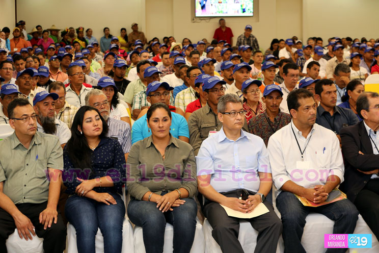 Nicaragua busca mejorar productividad de hortalizas, raíces y tubérculos