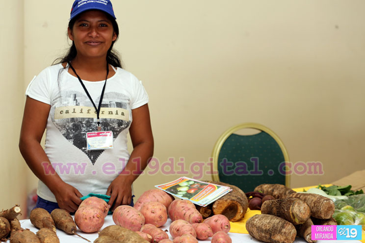 Nicaragua busca mejorar productividad de hortalizas, raíces y tubérculos