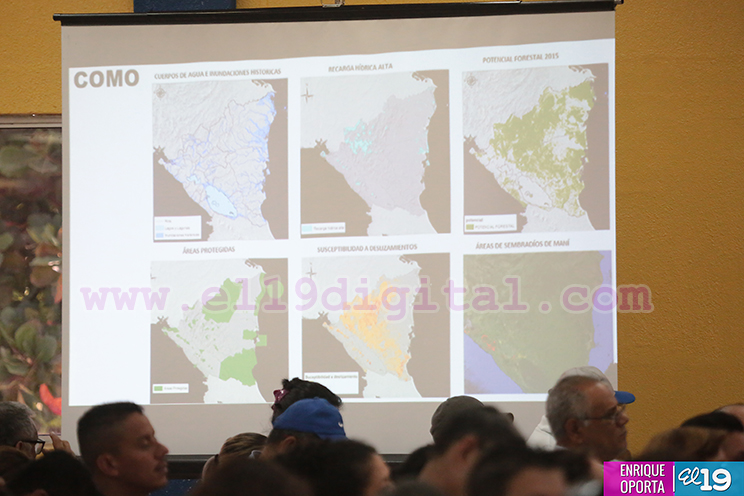 Jornada Nacional de Reforestación y Regeneración Natural