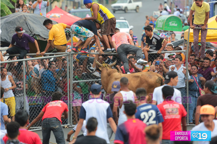 Tope de toro y vacas culonas promueven las tradiciones agostinas