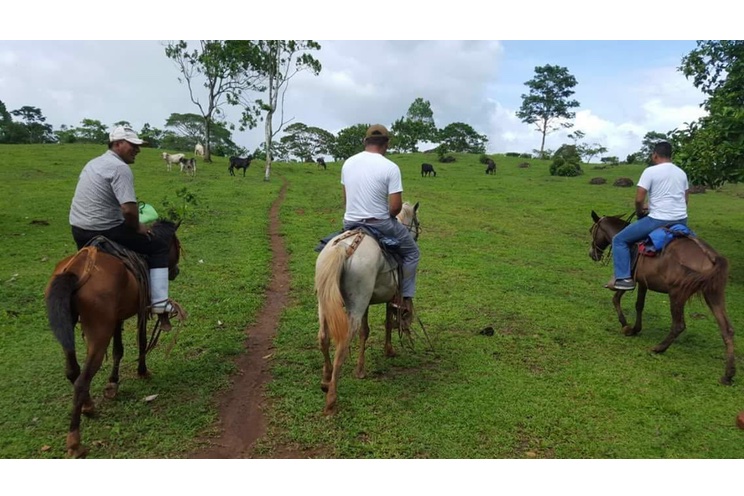 Población de la Costa Caribe participa en Verificación Ciudadana