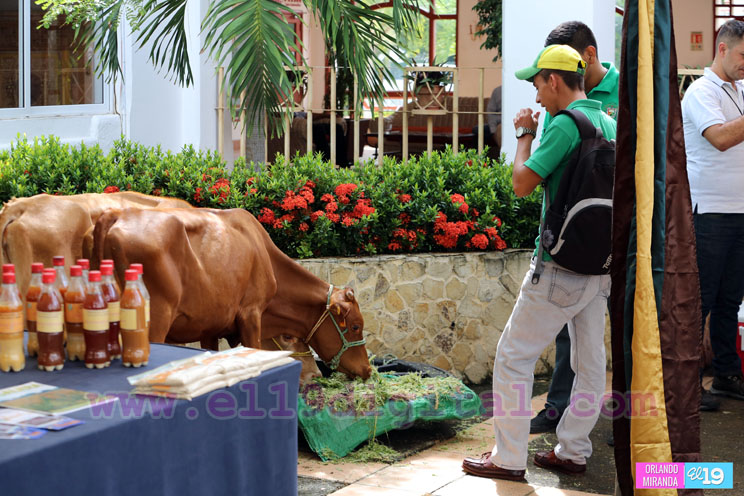 Congreso Internacional Desafíos y Oportunidades de la Ganadería para el Aumento de la productividad