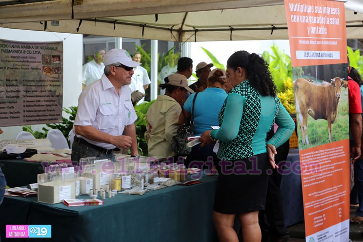 Congreso Internacional Desafíos y Oportunidades de la Ganadería para el Aumento de la productividad