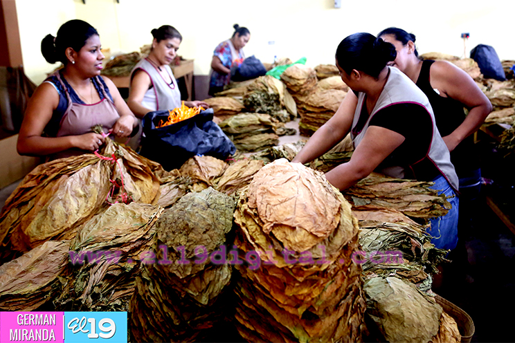 Inversiones en Estelí