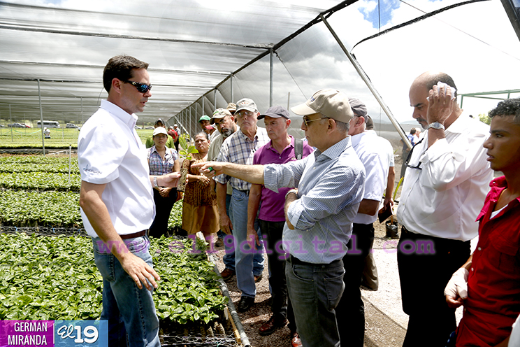 Nicaragua inicia producci&oacute;n masiva de plantas de caf&eacute; a trav&eacute;s de nuevas tecnolog&iacute;as